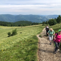 Les Crêtes lys Martagon 7 juillet (1)