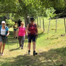 Les Crêtes lys Martagon 7 juillet (10)