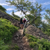 Les Crêtes lys Martagon 7 juillet (8)