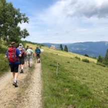 Les Crêtes lys Martagon 7 juillet (9)