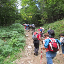 Les crêtes Altenweiller sept (2)