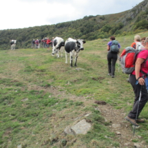 Les crêtes Altenweiller sept (41)