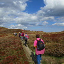 Les crêtes Altenweiller sept (44)